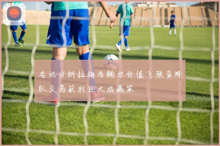 名记分析拉梅洛鲍尔价值飞涨黄蜂队交易获利巨大成赢家
