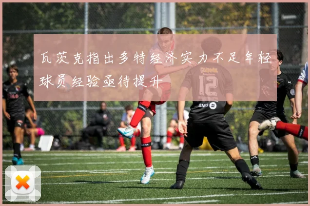 瓦茨克指出多特经济实力不足年轻球员经验亟待提升